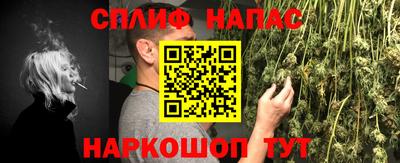 спайс Ачхой-Мартан