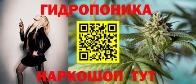 дмт Баксан