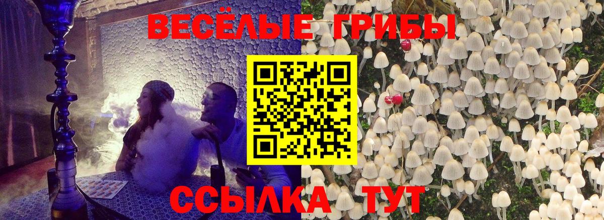 Галлюциногенные грибы Psilocybine cubensis  что такое   Вход с VPN  Ирбит  Псилоцибиновые грибы Magic Shrooms 