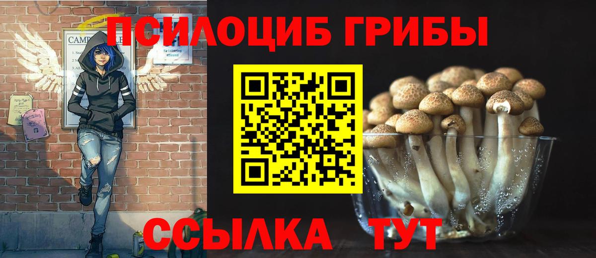 Псилоцибиновые грибы Cubensis Ирбит